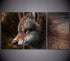 Tableau Loup Rouge